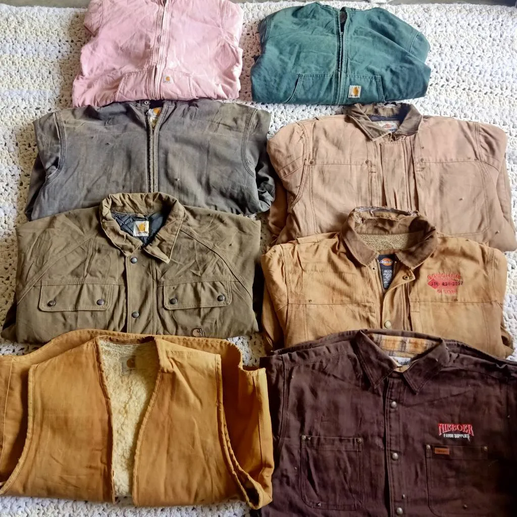 Carhartt and Dickies 10 piece