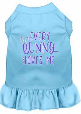 Every Bunny Loves Me Screen Print Dog Dress Baby Blue Sm (10)