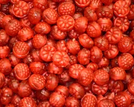 Filled Red Raspberries