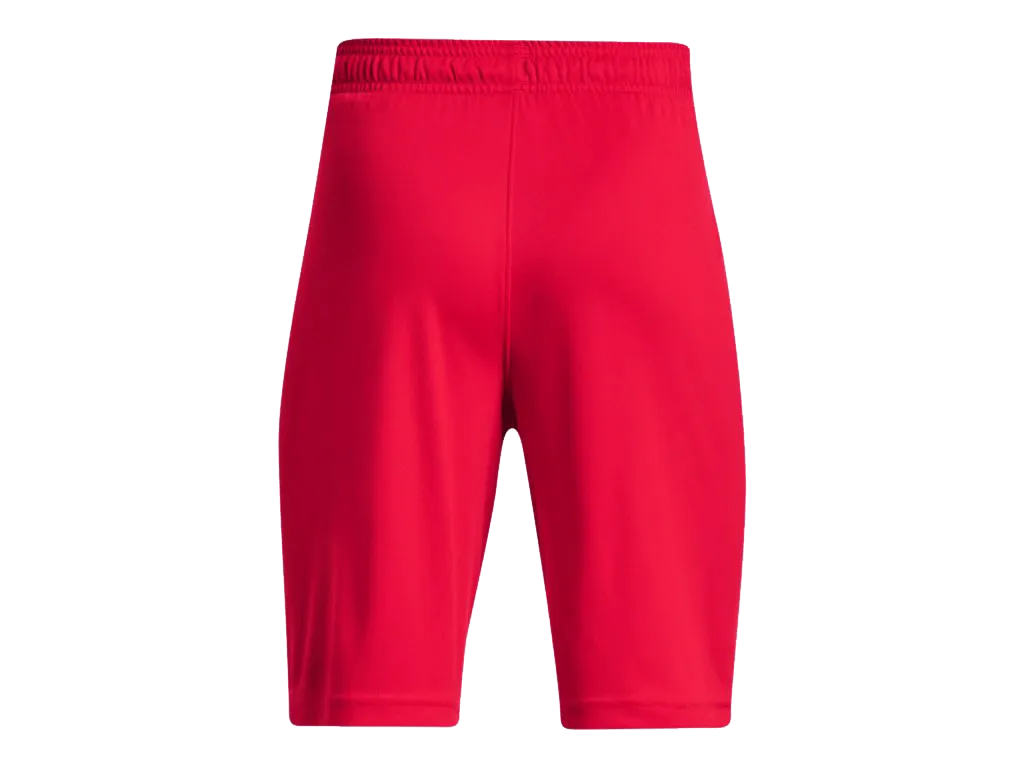 UA Boys' Prototype 2.0 Wordmark Shorts